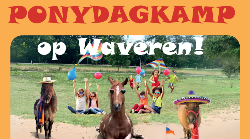 Ponydagkamp Week 6 - Stichting Waveren
