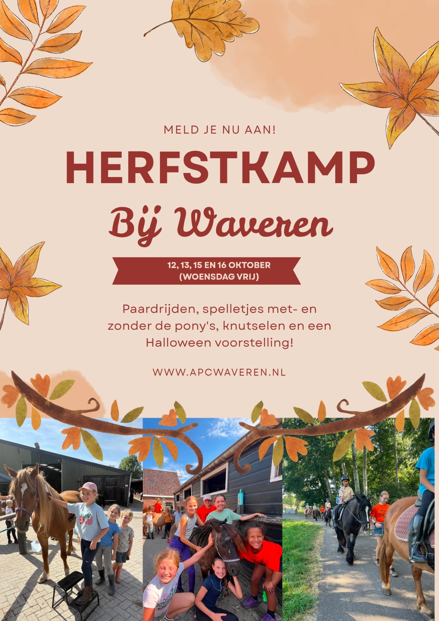 Herfstkamp bij Waveren